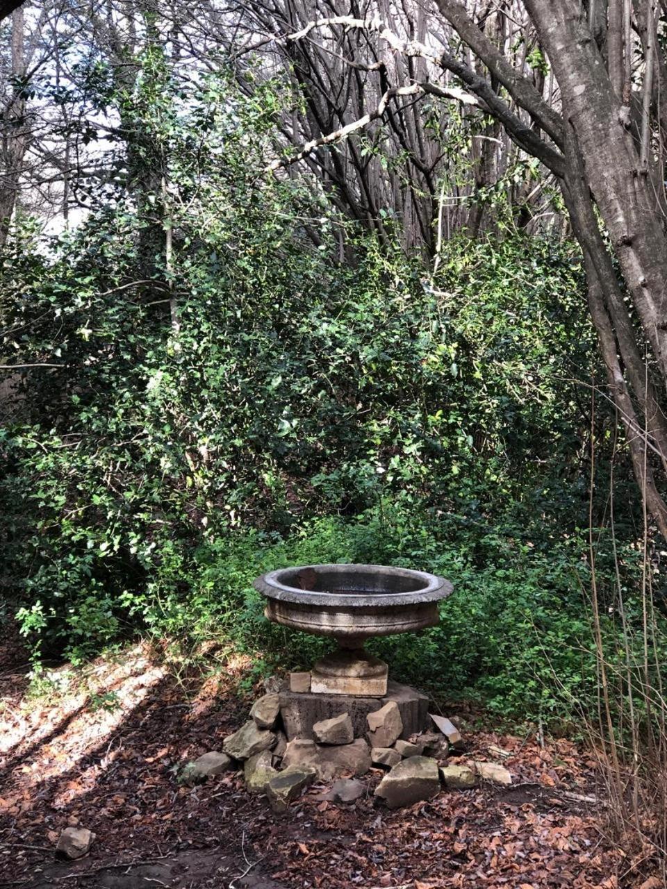 Back O' The Moon Holiday Cottage Hogsback Eksteriør bilde