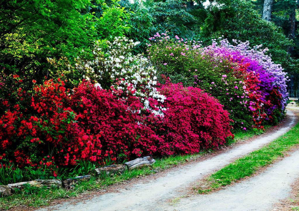 Back O' The Moon Holiday Cottage Hogsback Eksteriør bilde