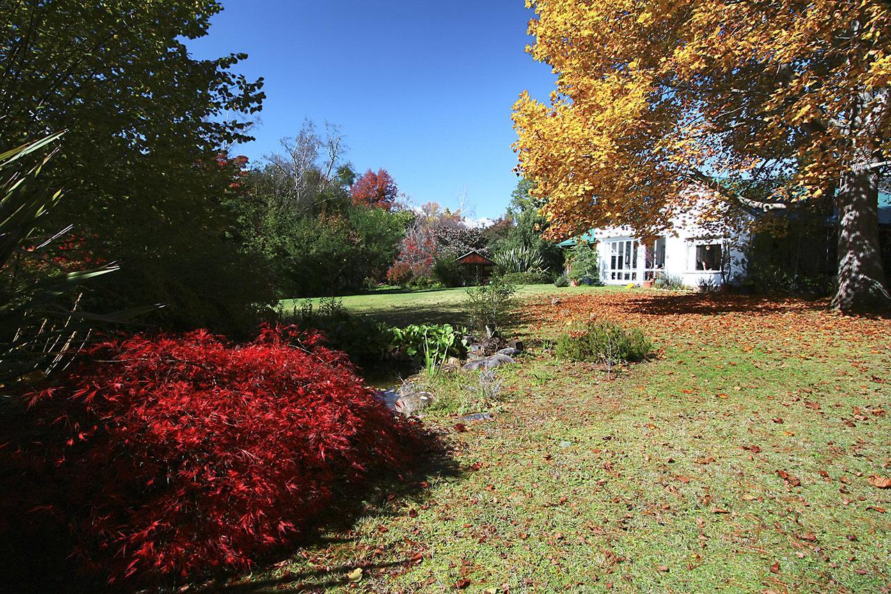 Back O' The Moon Holiday Cottage Hogsback Eksteriør bilde